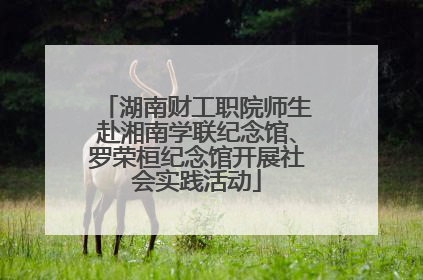 湖南财工职院师生赴湘南学联纪念馆、罗荣桓纪念馆开展社会实践活动