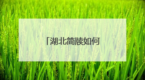 湖北简牍如何传承保护与活化利用？这个座谈会共商新路径