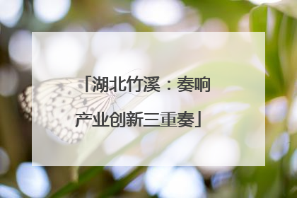湖北竹溪：奏响产业创新三重奏
