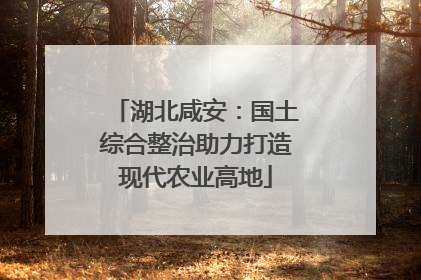 湖北咸安：国土综合整治助力打造现代农业高地
