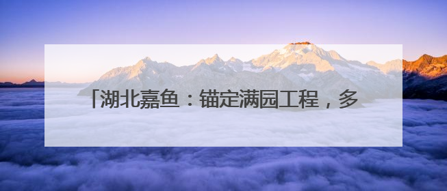 湖北嘉鱼：锚定满园工程，多维度发力推动园区高质量发展