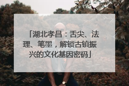 湖北孝昌：舌尖、法理、笔墨，解锁古镇振兴的文化基因密码