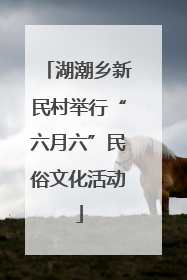 湖潮乡新民村举行“六月六”民俗文化活动