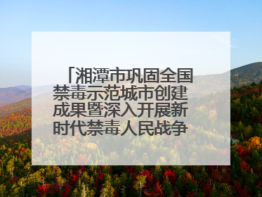 湘潭市巩固全国禁毒示范城市创建成果暨深入开展新时代禁毒人民战争新闻发布会答记者问摘录