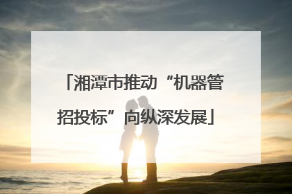 湘潭市推动“机器管招投标”向纵深发展
