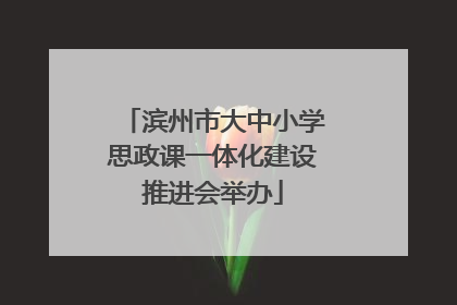 滨州市大中小学思政课一体化建设推进会举办