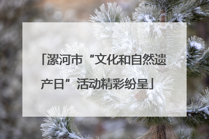 漯河市“文化和自然遗产日”活动精彩纷呈