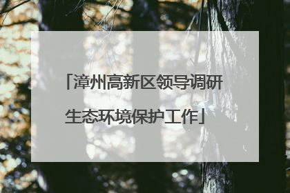 漳州高新区领导调研生态环境保护工作