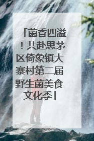 菌香四溢！共赴思茅区倚象镇大寨村第二届野生菌美食文化季