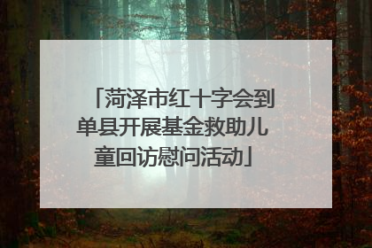 菏泽市红十字会到单县开展基金救助儿童回访慰问活动