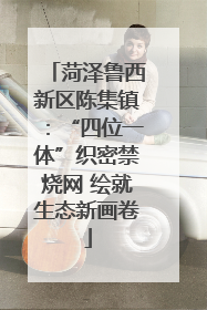 菏泽鲁西新区陈集镇：“四位一体”织密禁烧网 绘就生态新画卷