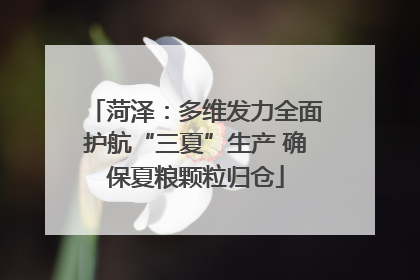 菏泽：多维发力全面护航“三夏”生产 确保夏粮颗粒归仓