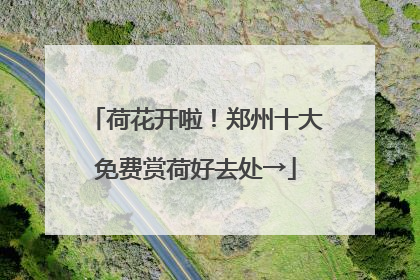 荷花开啦！郑州十大免费赏荷好去处→