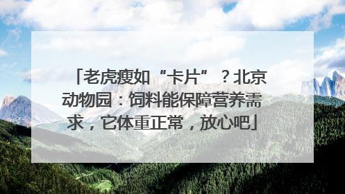 老虎瘦如“卡片”？北京动物园：饲料能保障营养需求，它体重正常，放心吧