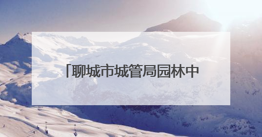 聊城市城管局园林中心：抢抓时机 全面完成道路绿化优化提升