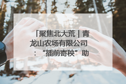 聚焦北大荒｜青龙山农场有限公司：“插前寄秧”助力农业节本增效