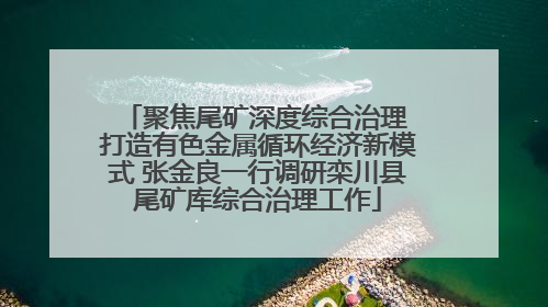 聚焦尾矿深度综合治理 打造有色金属循环经济新模式 张金良一行调研栾川县尾矿库综合治理工作