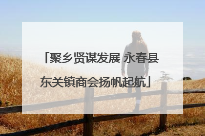 聚乡贤谋发展 永春县东关镇商会扬帆起航