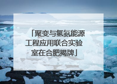 聚变与氢氨能源工程应用联合实验室在合肥揭牌