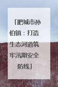 肥城市孙伯镇：打造生态河道筑牢汛期安全防线