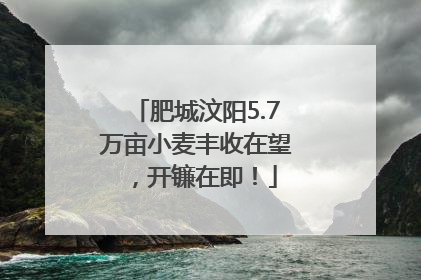 肥城汶阳5.7万亩小麦丰收在望，开镰在即！