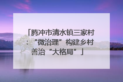 腾冲市清水镇三家村：“微治理”构建乡村善治“大格局”