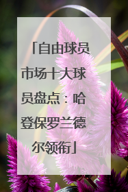 自由球员市场十大球员盘点：哈登保罗兰德尔领衔