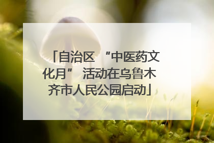 自治区 “中医药文化月” 活动在乌鲁木齐市人民公园启动