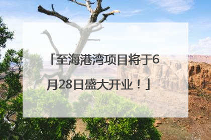 至海港湾项目将于6月28日盛大开业！