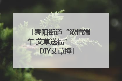 舞阳街道“浓情端午 艾草送福”——DIY艾草捶
