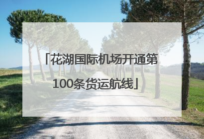 花湖国际机场开通第100条货运航线