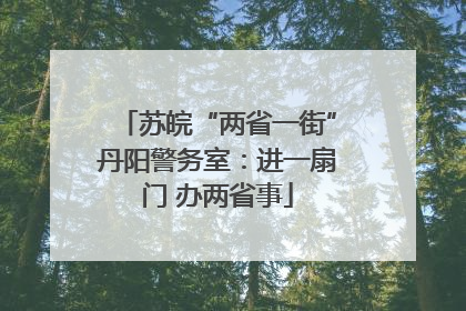苏皖“两省一街”丹阳警务室：进一扇门 办两省事