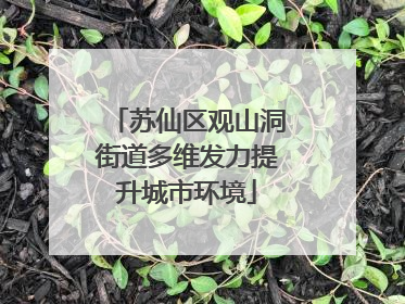 苏仙区观山洞街道多维发力提升城市环境
