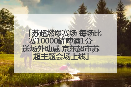 苏超燃爆赛场 每场比赛10000罐啤酒1分送场外助威 京东超市苏超主题会场上线