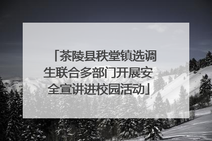 茶陵县秩堂镇选调生联合多部门开展安全宣讲进校园活动
