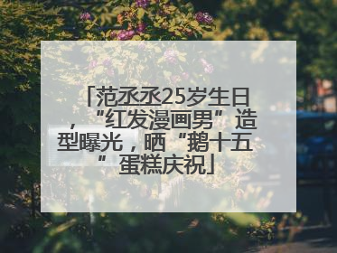范丞丞25岁生日，“红发漫画男”造型曝光，晒“鹅十五”蛋糕庆祝