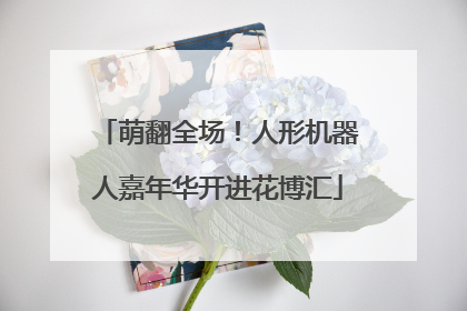 萌翻全场！人形机器人嘉年华开进花博汇