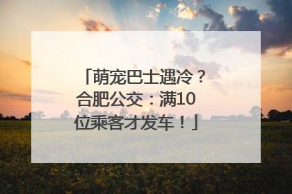 萌宠巴士遇冷？合肥公交：满10位乘客才发车！