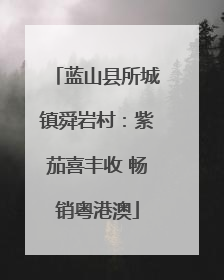 蓝山县所城镇舜岩村：紫茄喜丰收 畅销粤港澳