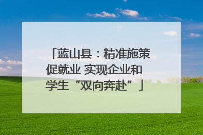 蓝山县：精准施策促就业 实现企业和学生“双向奔赴”