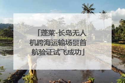 蓬莱-长岛无人机跨海运输场景首航验证试飞成功
