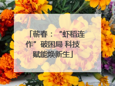 蕲春：“虾稻连作”破困局 科技赋能焕新生