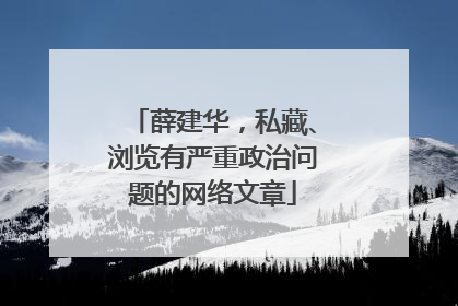 薛建华，私藏、浏览有严重政治问题的网络文章