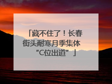 藏不住了！长春街头耐寒月季集体“C位出道”
