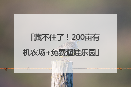 藏不住了！200亩有机农场+免费遛娃乐园