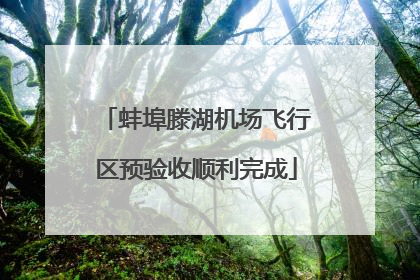 蚌埠滕湖机场飞行区预验收顺利完成