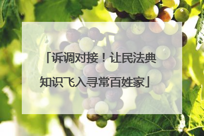 诉调对接！让民法典知识飞入寻常百姓家