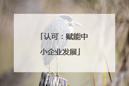 认可：赋能中小企业发展