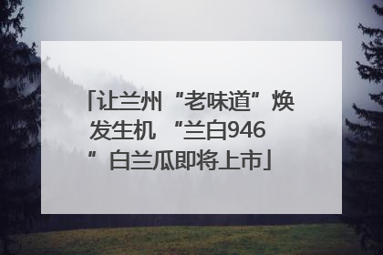 让兰州“老味道”焕发生机 “兰白946”白兰瓜即将上市