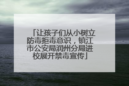 让孩子们从小树立防毒拒毒意识，镇江市公安局润州分局进校展开禁毒宣传